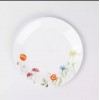 Color: Daisy Field