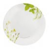 Color: European Herbs