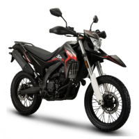 WMOTO SX2 -300